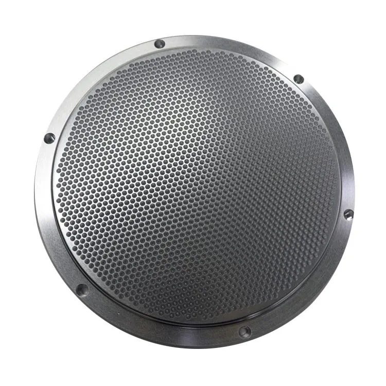 0020-30797 Douchekop met geperforeerde plaat 2e bron Nieuw